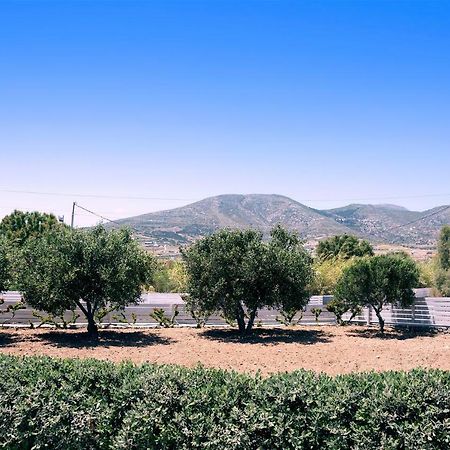 Appartamento Golden Sand Paros Chrisi Akti  Esterno foto