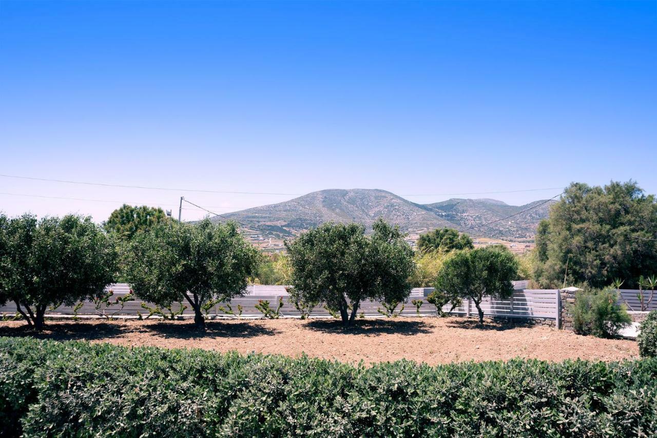 Appartamento Golden Sand Paros Chrisi Akti  Esterno foto